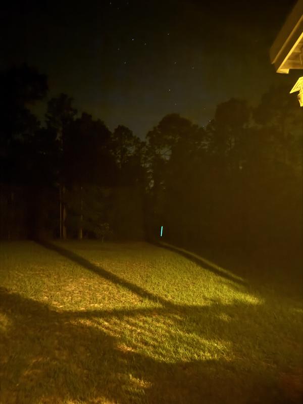 Launched into the woods