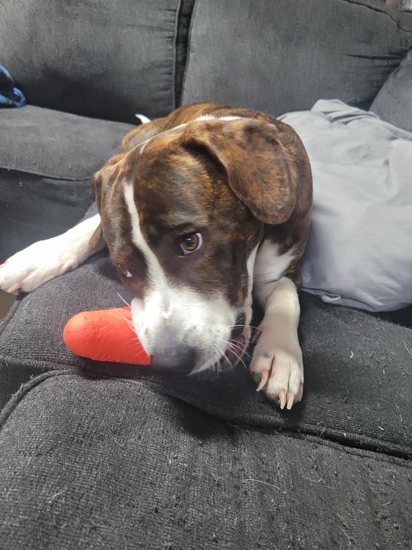 Loves the pupper portions.