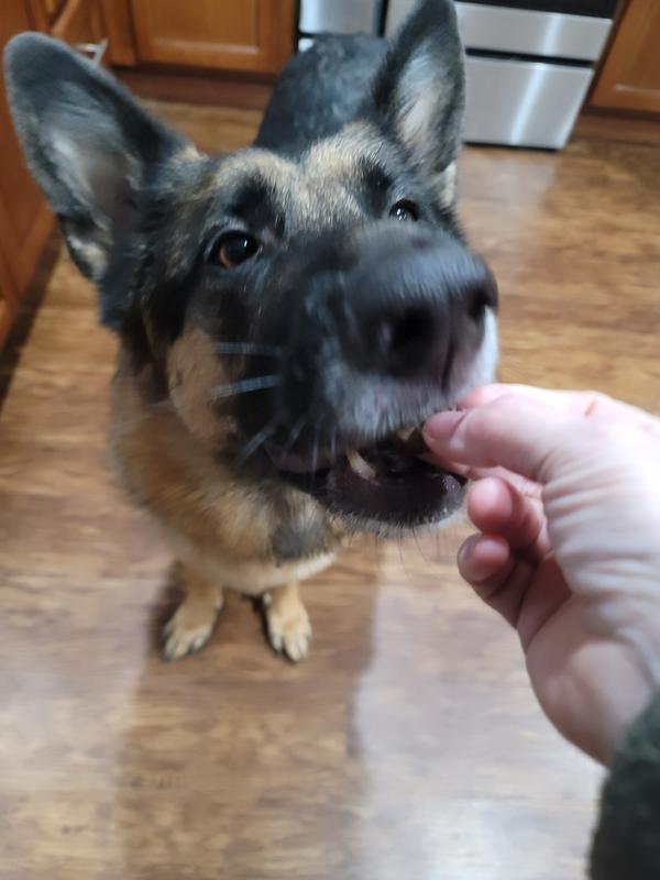Luna Approves