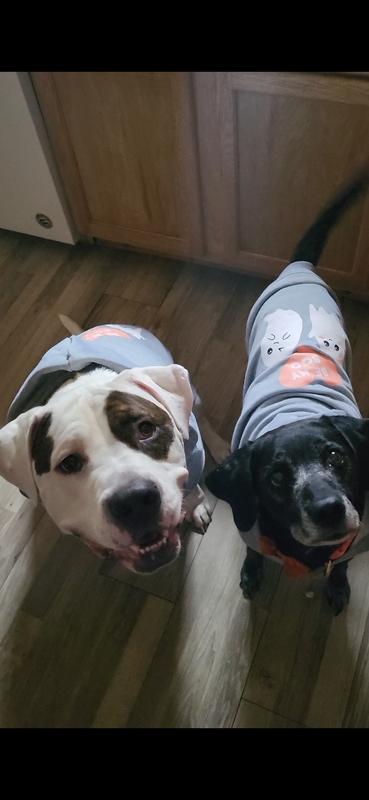 Duke and Bailey in their matching hoodies