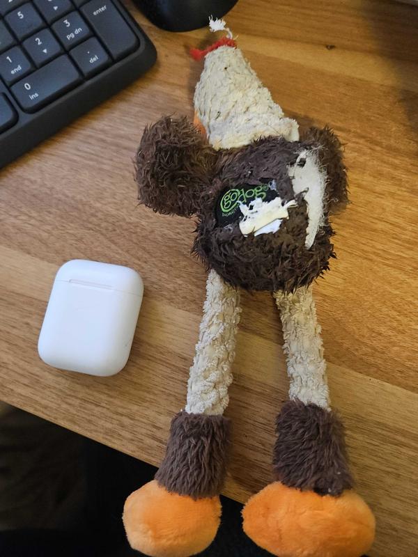 Airpod case for scale. Don't buy this garbage