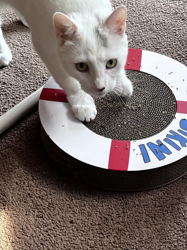The catnip was a hit. But the toy not so much.