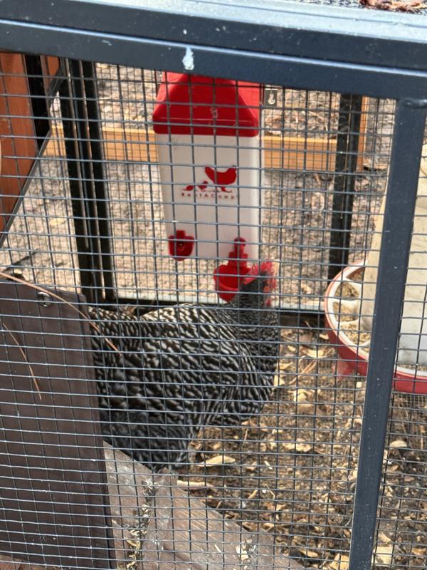 Hangs easily with hooks provided