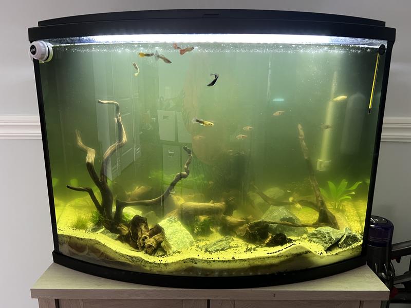 AA AQUARIUM Green Killing Machine Internal UV System, 3watt