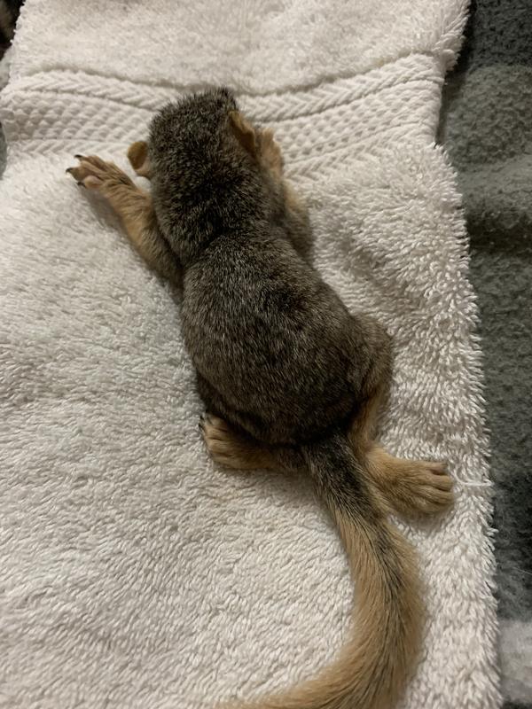 Sad end to a short life, but he died knowing he was loved.