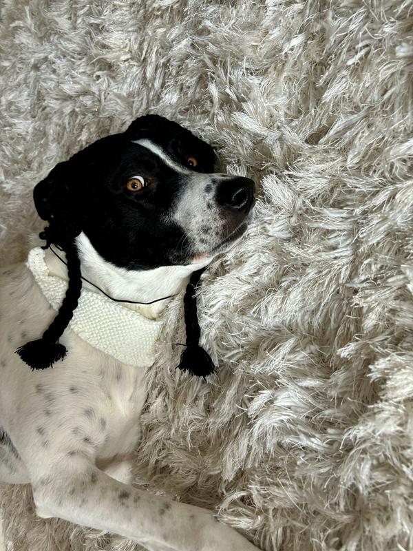 She hates things on her head but will do it for treats lol