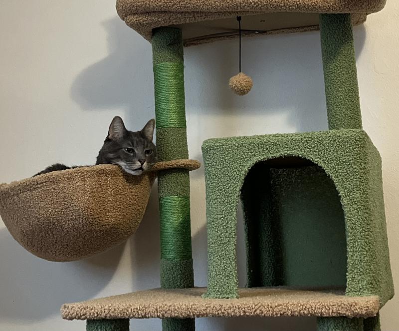 Poor quality and construction