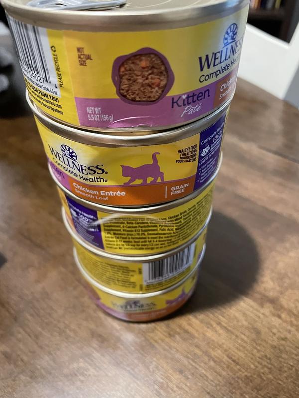 Wellness core hotsell kitten food reviews