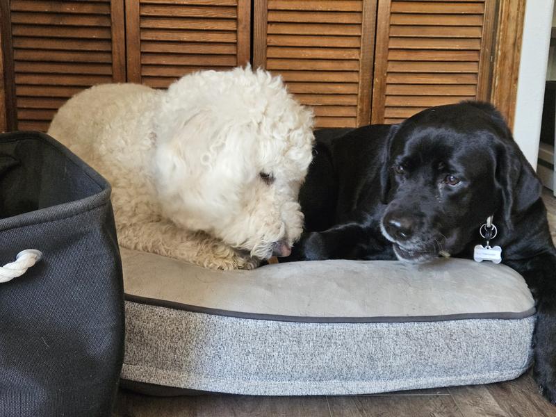 Ben on the left with his Friend Jasmine