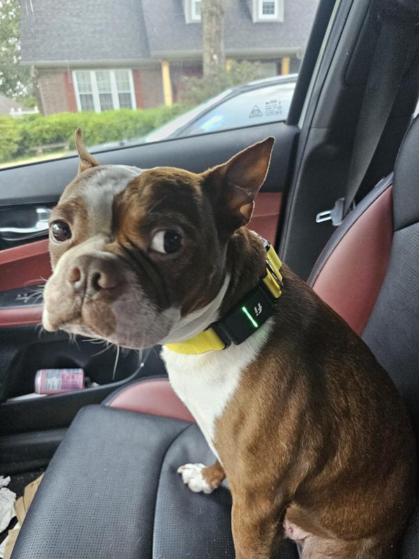 He was trying to get to to keep driving