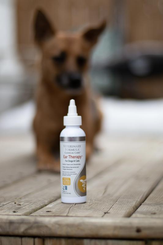 Veterinary formula ear outlet therapy