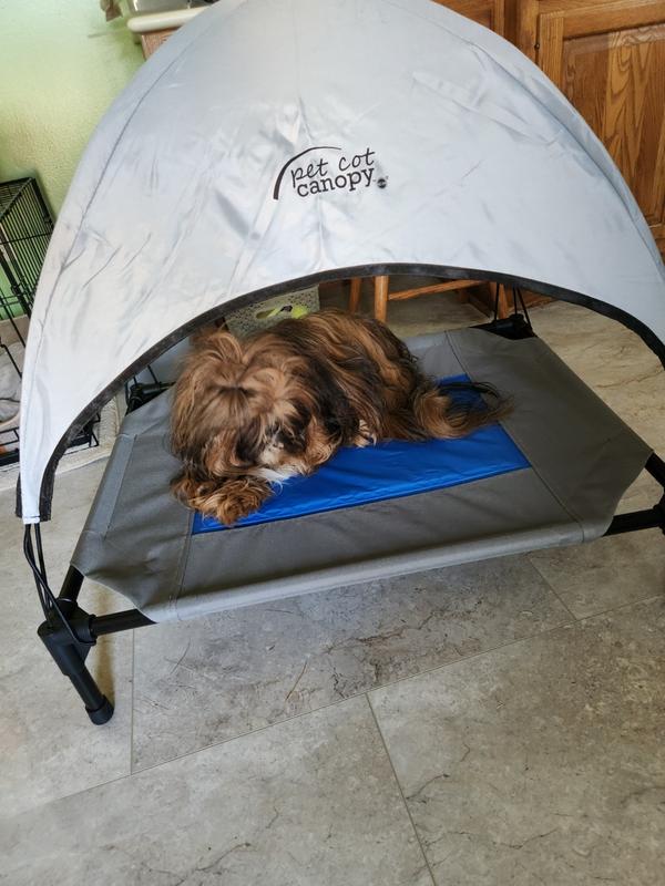 Pet cot cheap and canopy