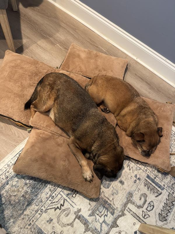 We even unzipped the sides and used it as a bed when we visited friends.