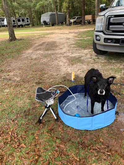 Aquapaw Outil De Bain Cheval 5 En 1 Et Peigne à Curry - Neuf - Pour Lavage Et Toilettage équin