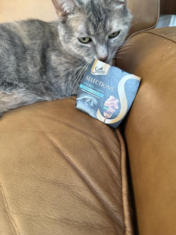 Ninja loves her SHEBA