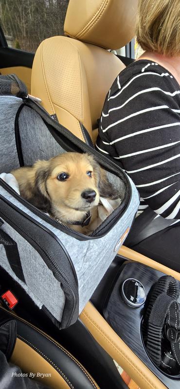 K&H Pet Products Portable Console Booster & Carrier Small Dog Car Seat, Light Gray