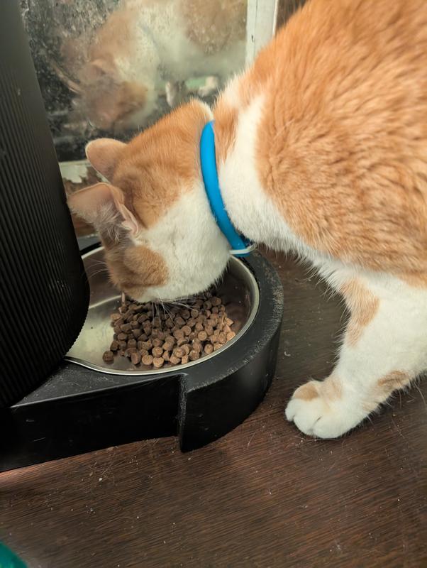 These two couldn't get it fast enough