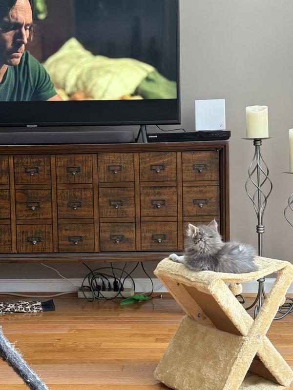 Alice watching TV with us