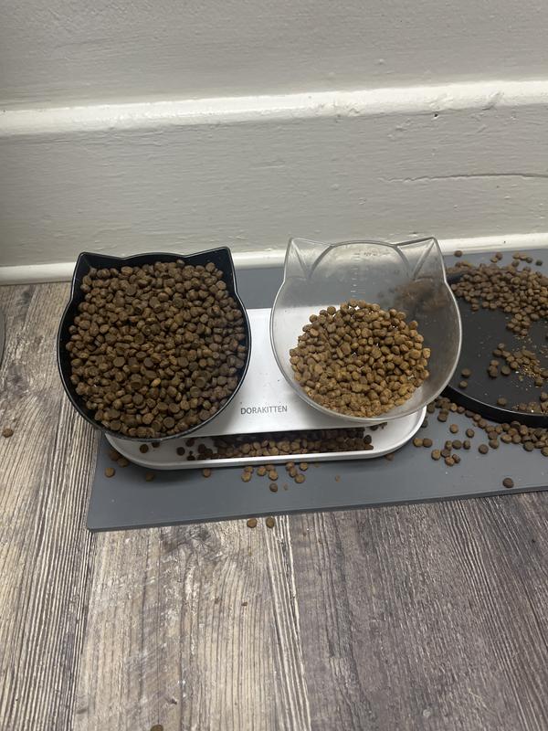 Your food in the clear bowl on the right. My sometimes go to, on the left. It’s not been touched in days