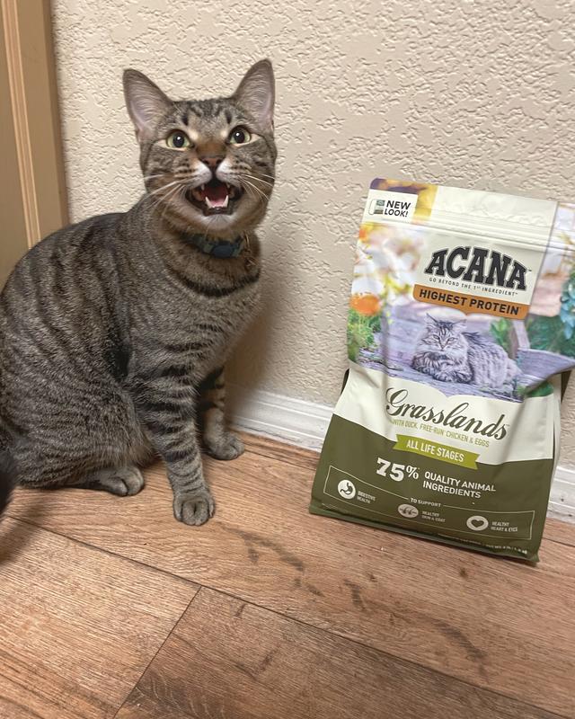 Acana grasslands outlet cat food review