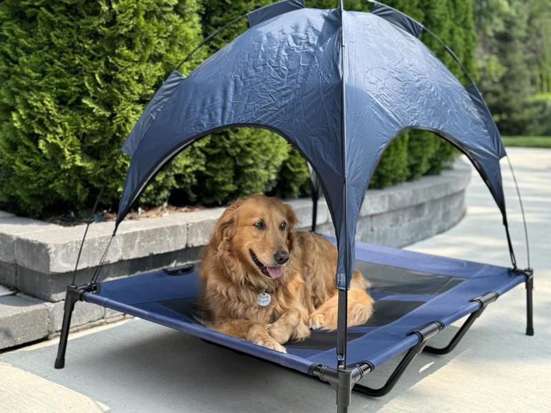 PET ADOBE Elevated Canopy Dog Bed X Large Chewy