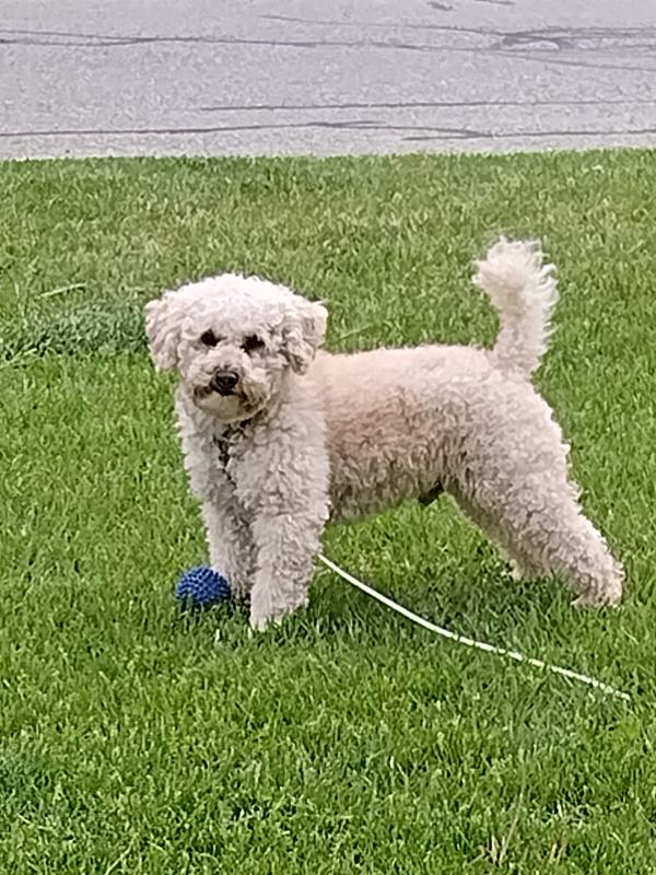 Keno says.... I love chewy!