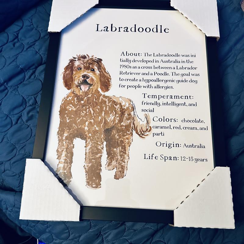 Beautifully framed print