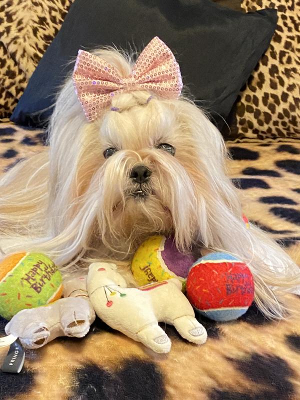 Rousey and her Llamas