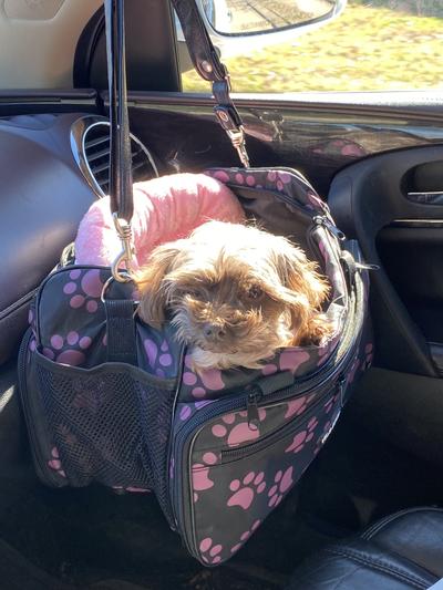 She loves it