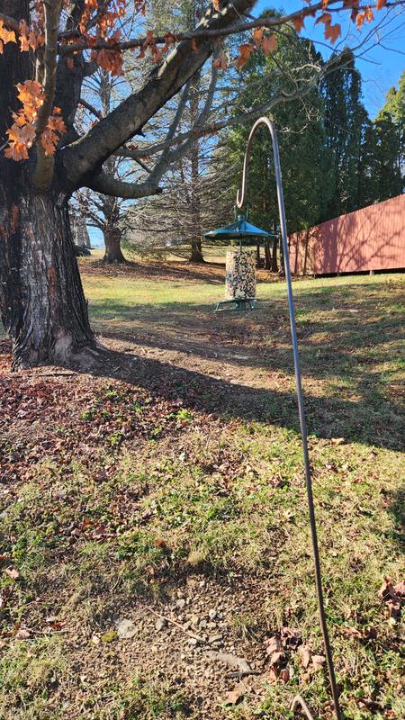 The feeder is meant to hang at least 5 feet off of the ground, which is exactly how high mine is. Birds enjoy flying from low tree branches right onto the feeder