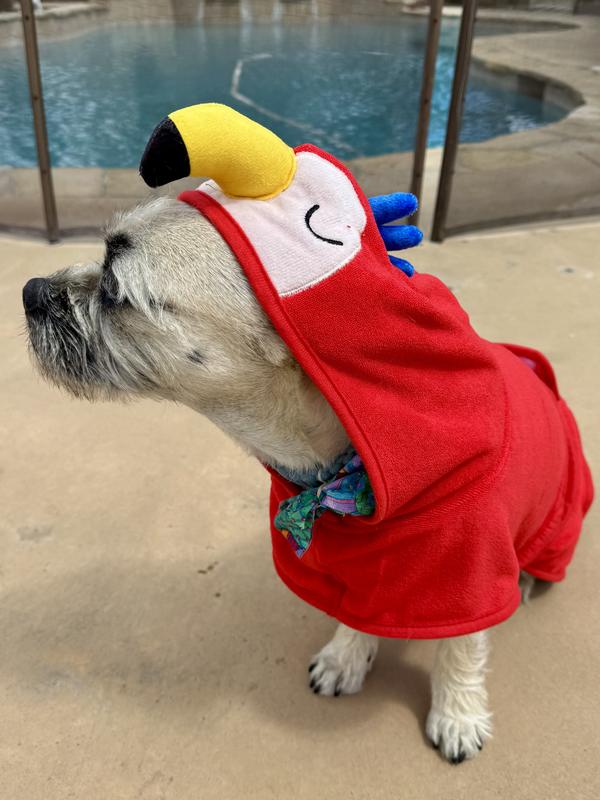 Love the little hood