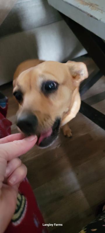 Not too sure of them.