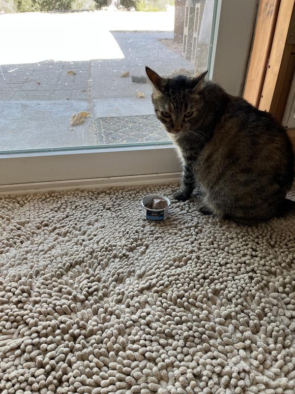 This is LuLu having a treat before going outside