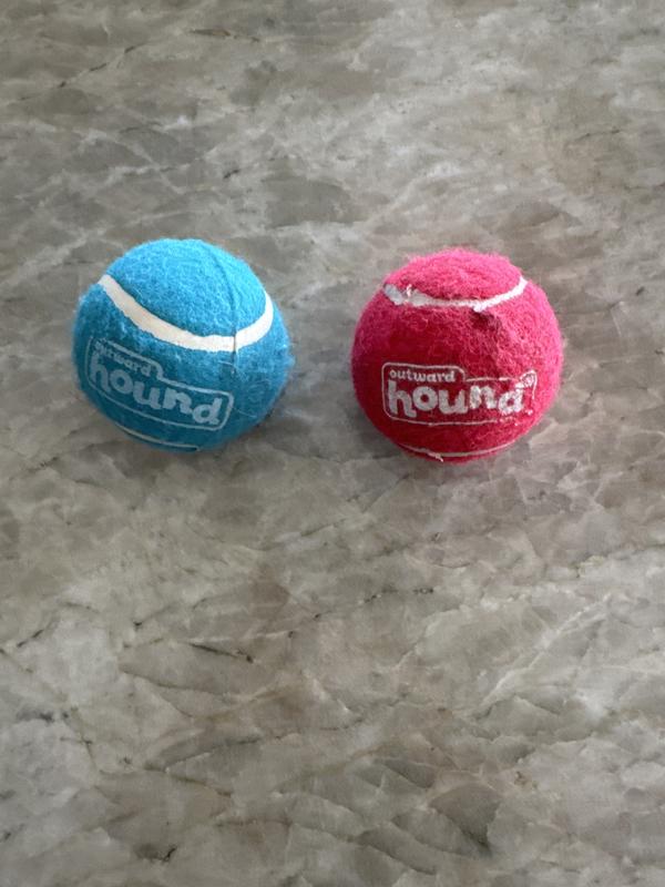 Left is new with seam and right is old without seam