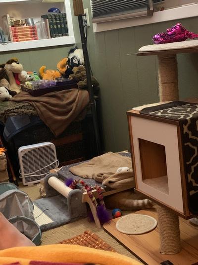 Checking out her cache of toys under bed