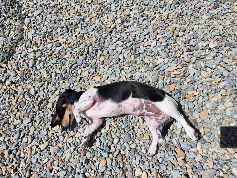 My naturally pink belly