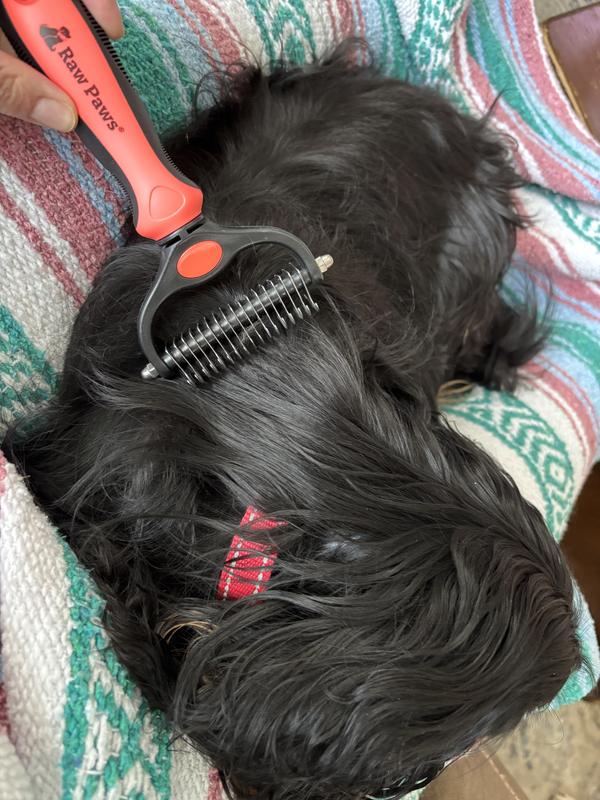 RAW PAWS Dual-Sided Undercoat Rake & Dematting Tool for Dogs & Cats ...