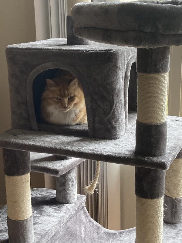 FRISCO 59-in Faux Fur Cat Tree & Condo, Dark Charcoal - Chewy.com