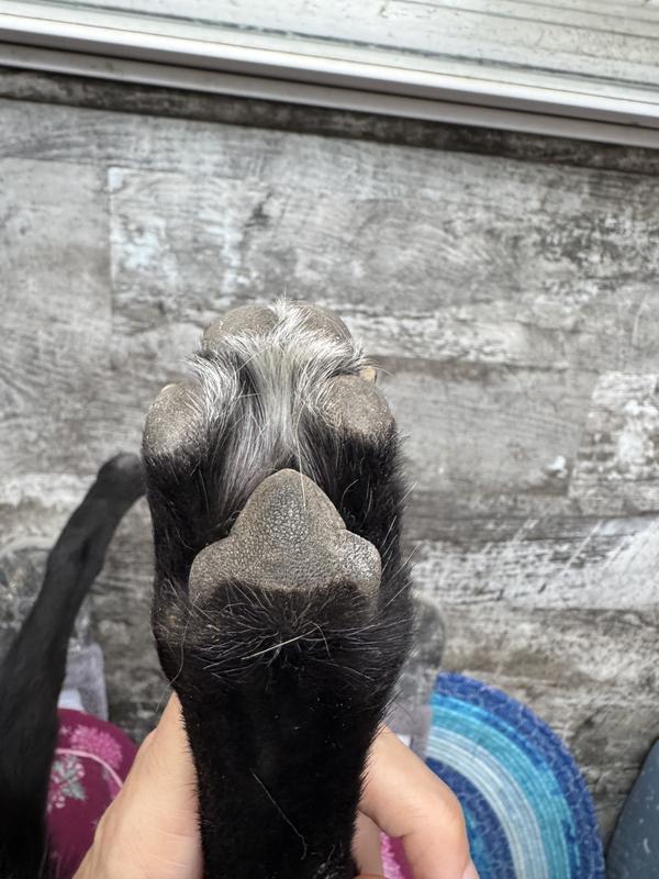Product used on this paw
