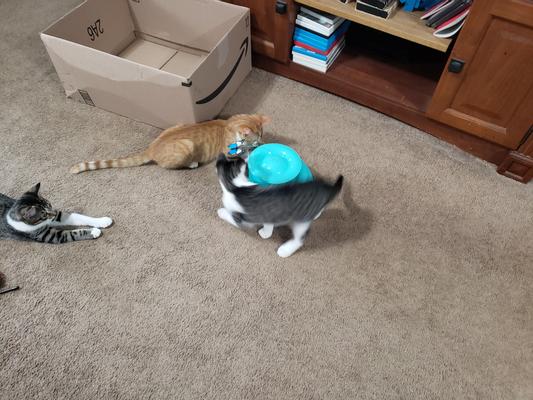 They love it.