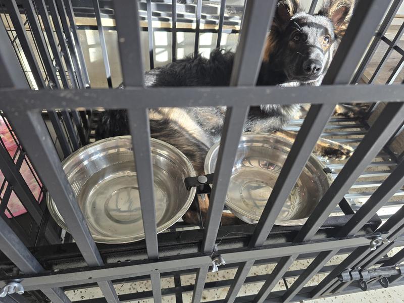 Sturdy, and IT WORKS 💪