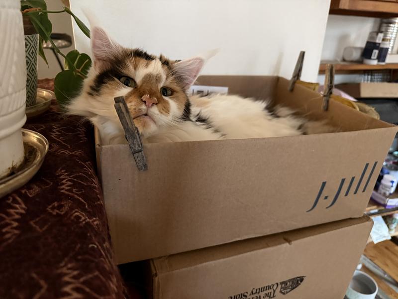 Comfy, higher up off the floor! Just room for one!