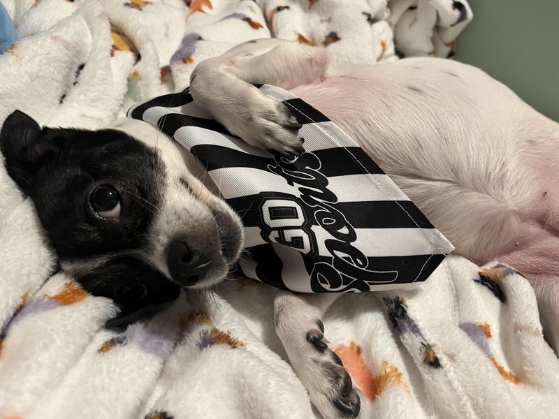 Marlene loves to support all sports