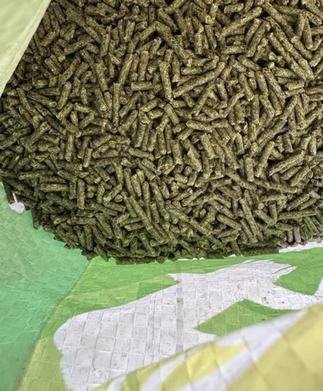 SUNGLO Full Tank Pelleted Show Animal Cattle, Sheep, & Goat Supplement