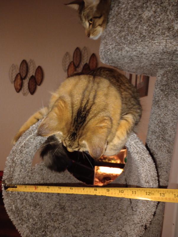 Every piece of the Tower is at least an inch small than described