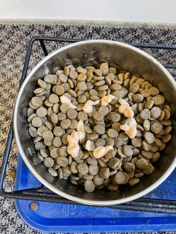 Bow of unrated food with purée on it.