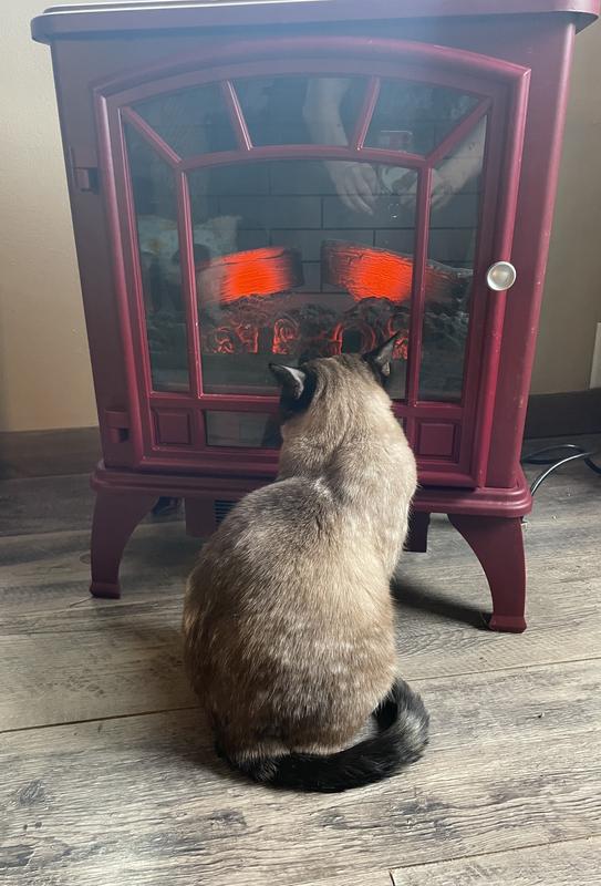 After having her Stella & Chewy Carnivore Cravings, Tigerlily likes to relax in front of the heater.