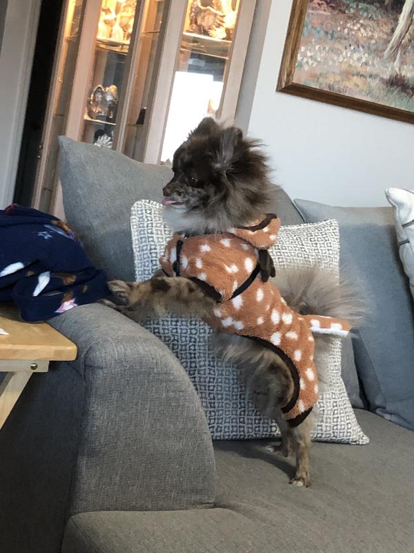 Frisco Reindeer Dog & Cat Hooded Plush Fleece PJs