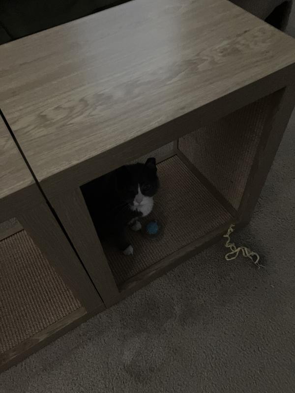 She is very happy and content.