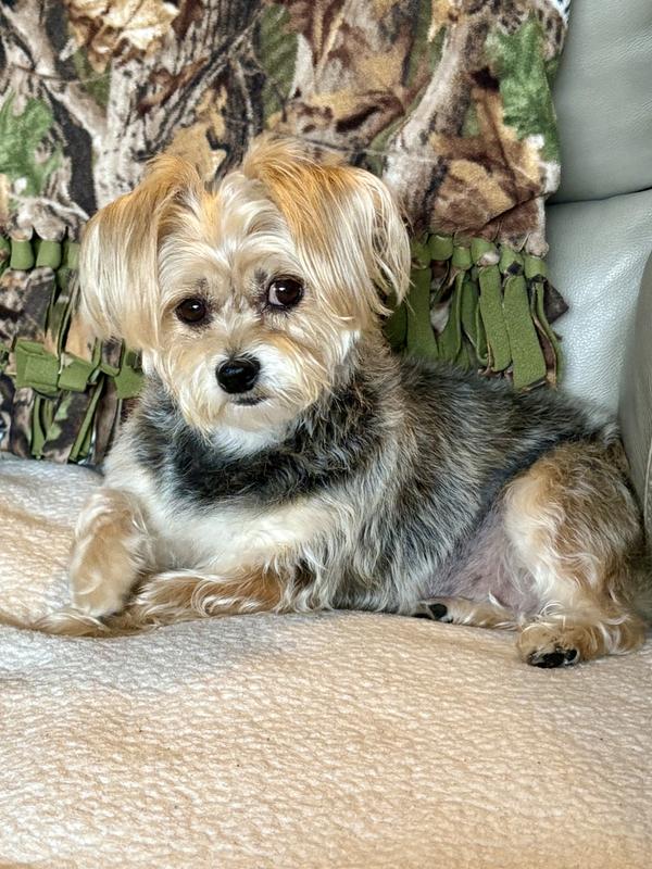 Great! She is the one eating the food